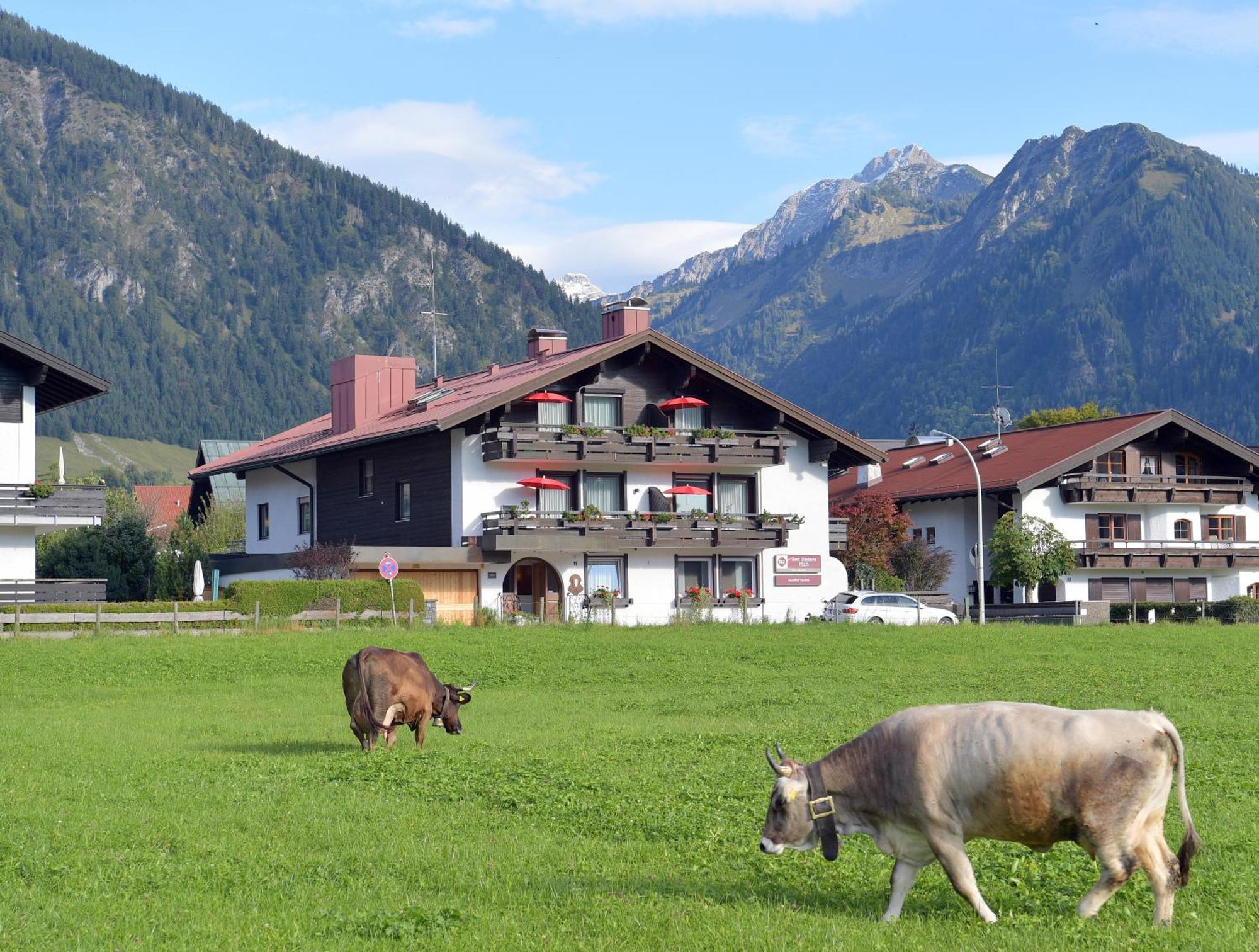 Western Alpenhof Hotel 4*