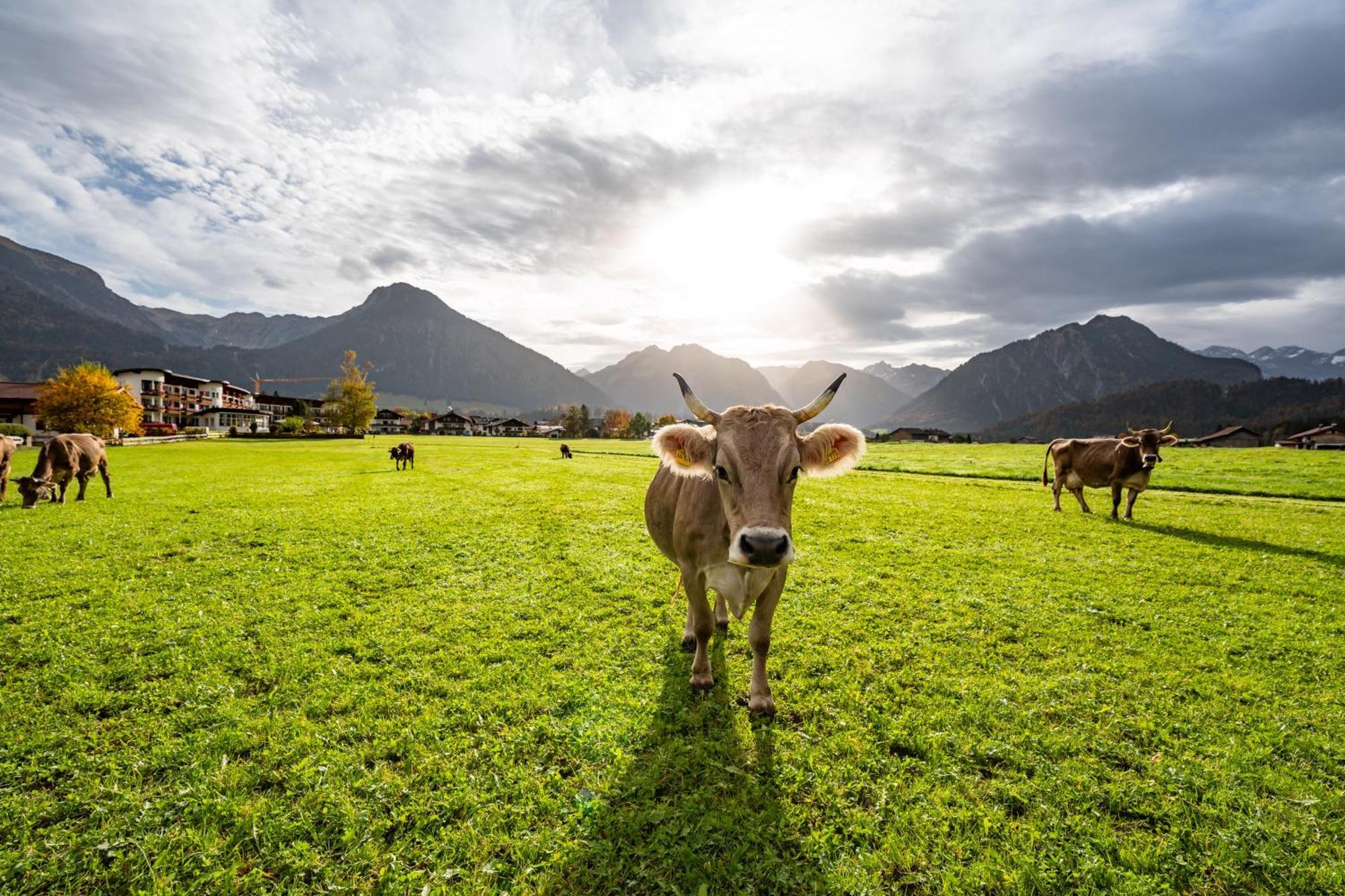 Western Alpenhof 4*