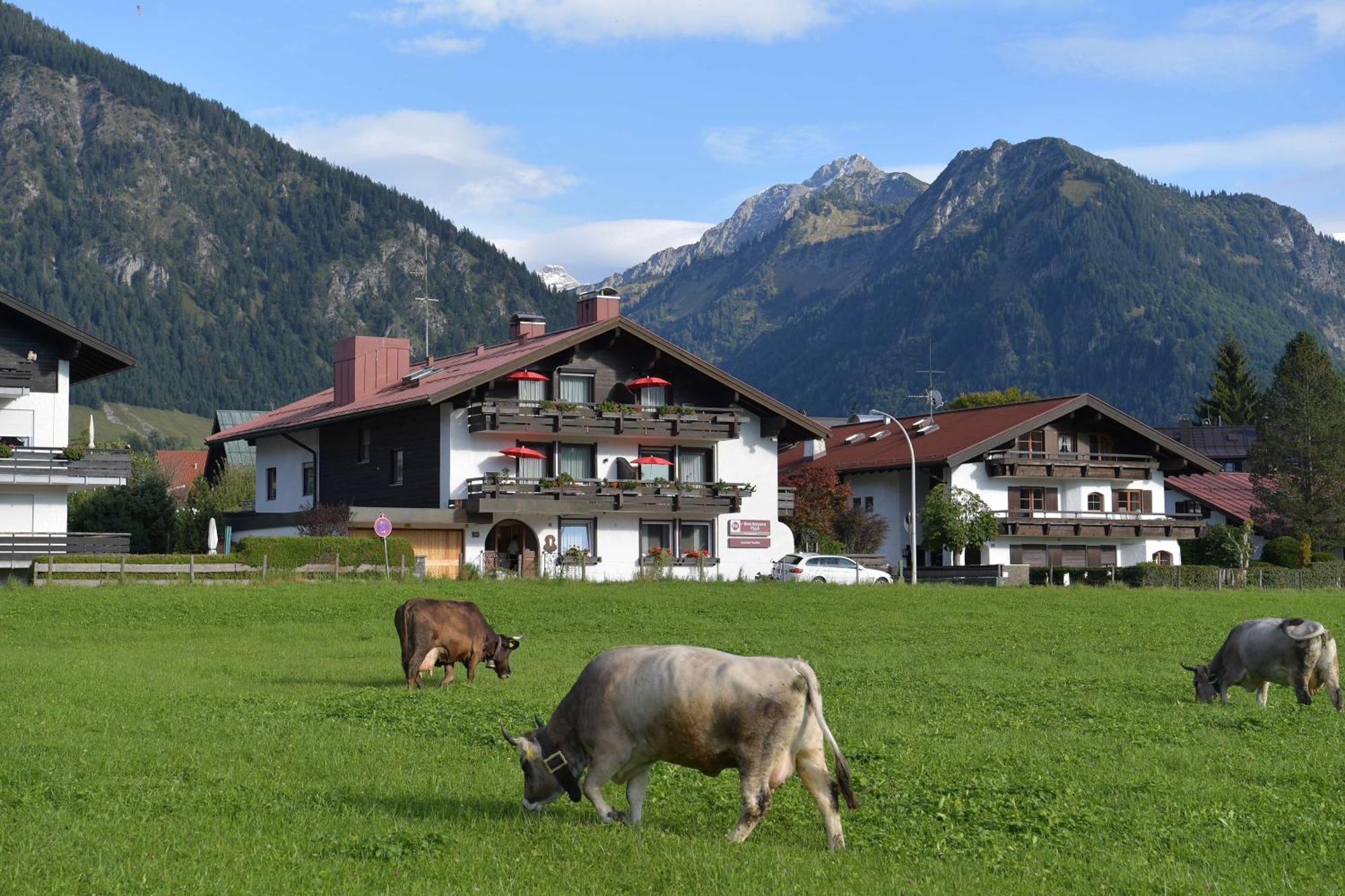Hotel Western Alpenhof